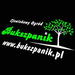 Bukszpanik.pl - Zjawiskowy Ogród, szkółka roślin ozdobnych