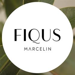 Fiqus Marcelin by Nickel Development - Mieszkania Na Sprzedaż Poznań