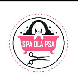 Spa dla psa