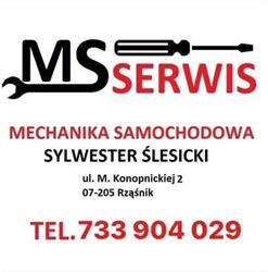 MS Serwis