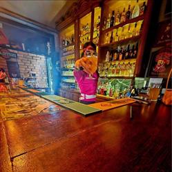 Antykvariat Cafe Kartuzy
