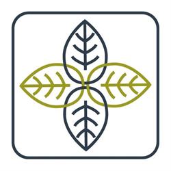 Medycyna Holistyczna, Fizjoterapia, Psychoterapia Kraków
