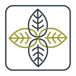 Medycyna Holistyczna, Fizjoterapia, Psychoterapia Kraków