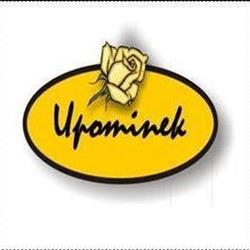 Kwiaciarnia Upominek