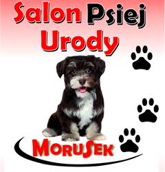 Salon Psiej Urody Morusek