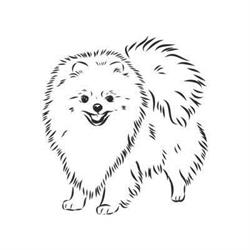 Doglandia II psi fryzjer