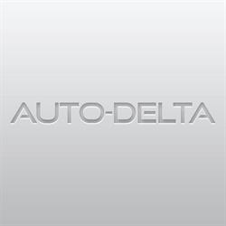 Auto-Delta