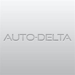 Auto-Delta