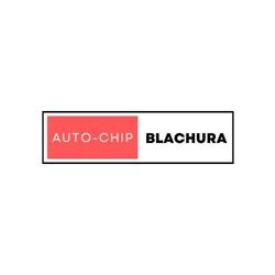 AutoChip Blachura Mariusz