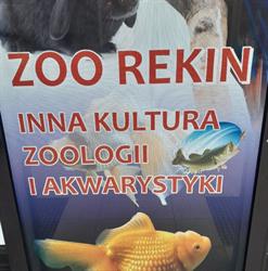 Zoo Rekin