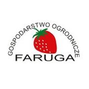 Gospodarstwo Ogrodnicze Faruga