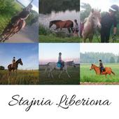 Stajnia Liberiona