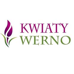 Kwiaty Werno