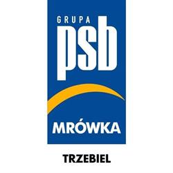 PSB Mrówka