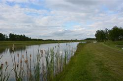 Łowisko w Zielonkach