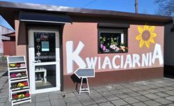 Kwiaciarnia na Niedźwiedzińcu