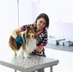 Gabinet Weterynaryjny AstroVet lek. wet. Marta Jaroczyńska