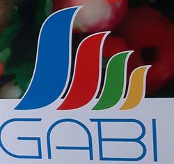 GABI Sklep spożywczy