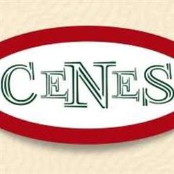 Centrum Nieruchomości i Szkoleń CeNeS