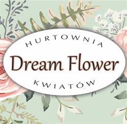 DREAM-FLOWER