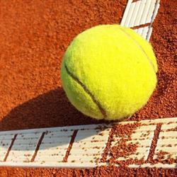 CAFE Tenis