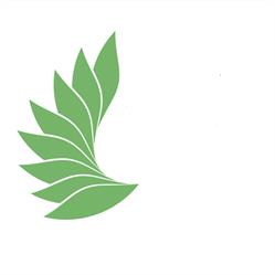 Stowarzyszenie Naukowe Pro Scientia Iuridica