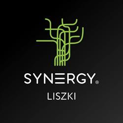 Studio Synergy Liszki