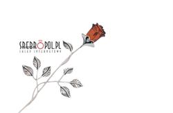 SREBROPOL.PL Sylwia Pigulak