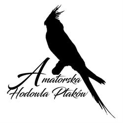 Amatorska Hodowla Ptaków Egzotycznych