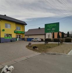 Żabka