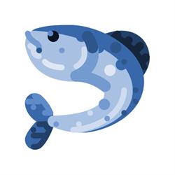 Sklep wędkarsko-zoologiczny w Bydgoszczy