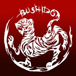 Centrum Sztuk Walki Bushido