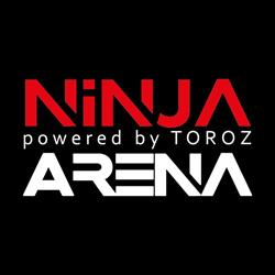 Ninja Arena