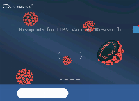 Creative Diagnostics