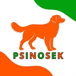 Szkoła dla psów Psinosek