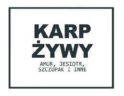 Gospodarstwo Rybackie Neumann Paweł