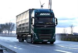 Doger Trans