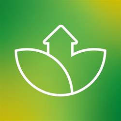 IFI Ecohouse
