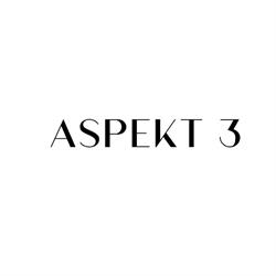 ASPEKT 3