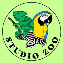 Sklep zoologiczno wędkarski studio zoo