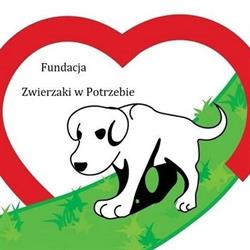 Fundacja Zwierzaki w Potrzebie