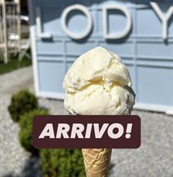 Lody Rzemieślnicze na Gaju