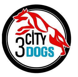 3CityDogs