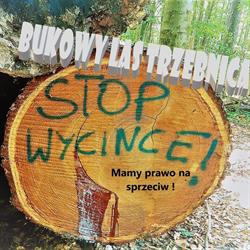 Las Bukowy