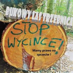 Las Bukowy