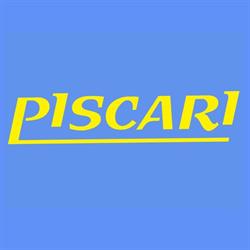 PISCARI Zakład Produkcyjny, Info-Centrum Konsulting Sp. z o.o.