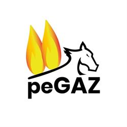 peGAZ - hurtownia PE i instalacyjna