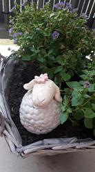 Pracownia Ceramiczna CZARKA
