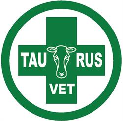 Gabinet weterynaryjny Taurus Vet