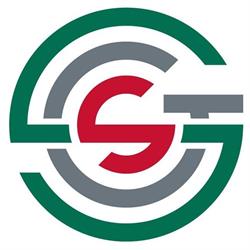 Stalowowolska Strefa Gospodarcza MZK, Wirtualne Biuro, Co-working